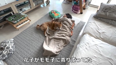 寝ている女の子にぴとっ