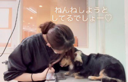 また寝るかと思いきや…