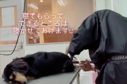 そのままぐっすり…