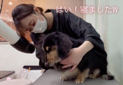 完全に夢の中へ…