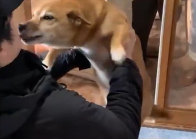 幸せ