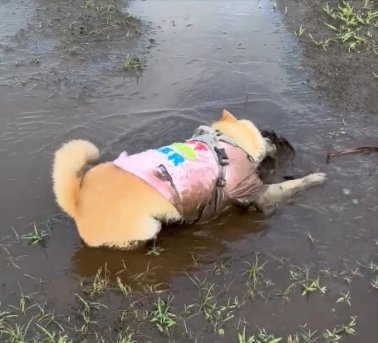 豪快