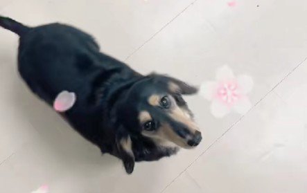 絆を感じるトリミング