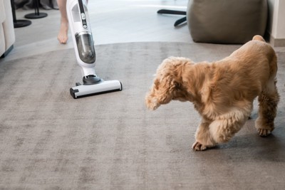 掃除機にビビる犬