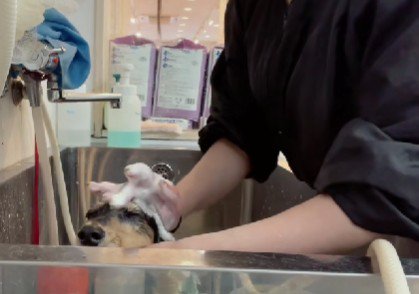 シャンプー中に寝ちゃった!