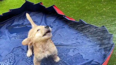 楽しそう♪