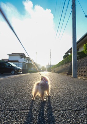 朝日に向かって仁王立ち