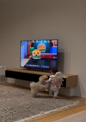 遊びたいコタローくん