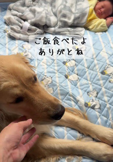 「今度はママが見ているね」