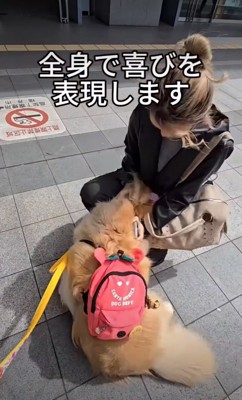 顔を埋めて撫でてもらう犬
