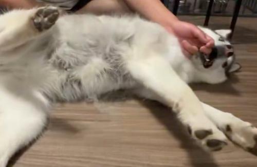 優しく