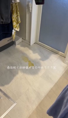 床のおしっこ跡