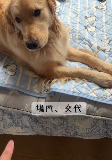 見守り隊の交代です