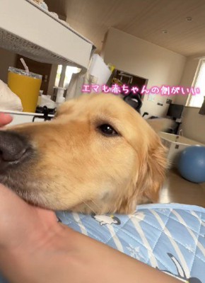 「赤ちゃんのそばがいいんだ…」