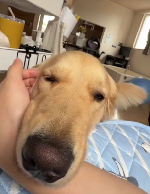 まるで本当のママのよう♡