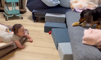 赤ちゃん