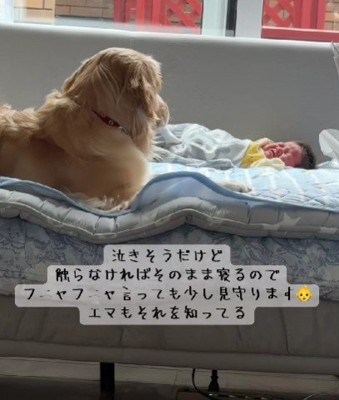 優しく寄り添うエマちゃん