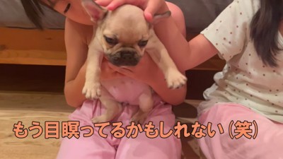 初日からのびのび過ごしたジョアちゃん