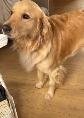 その場で佇むと…