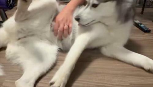 顔
