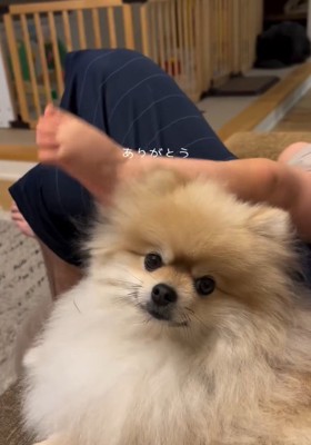 カメラ目線のコタローくん