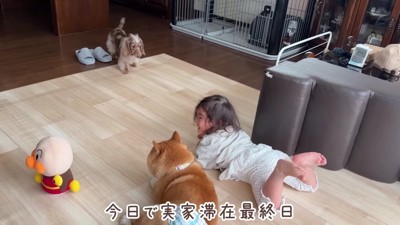 実家にお泊り