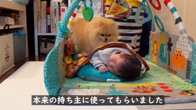 赤ちゃんを寝かせてみたら…