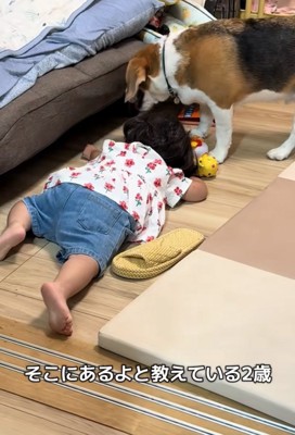 指差しする女の子