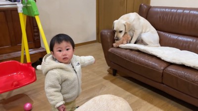 サンちゃんに取られてしまいました!