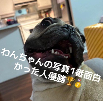 のびのびとした表情も魅力♡