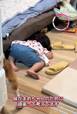 ソファの下を覗く女の子