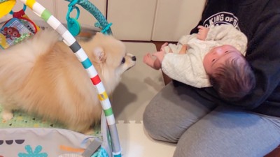 赤ちゃんを連れてきたら…