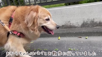 ちょっぴり寂しくなってきた?