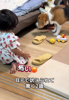 怖がる女の子