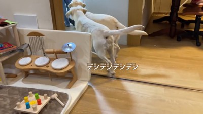 ご褒美のオヤツに大喜び