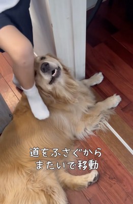 「どうぞー」