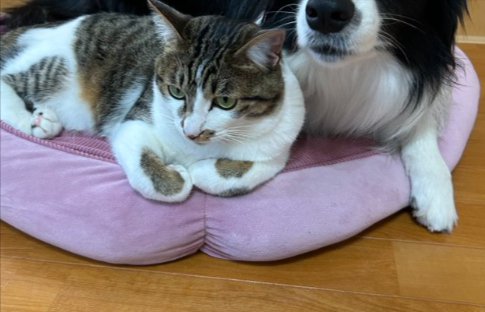 のんびり