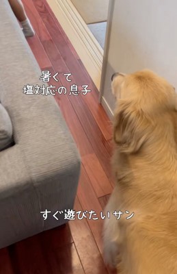 切ない後ろ姿…