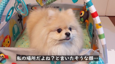 我が物顔でベビージムを占領（笑）
