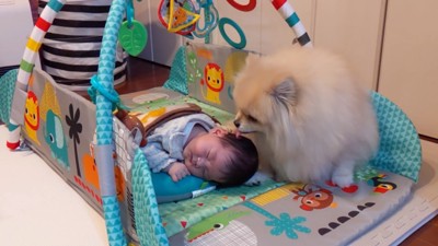 隣に行ってペロペロ♪
