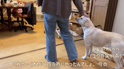 ご褒美をおねだり♪