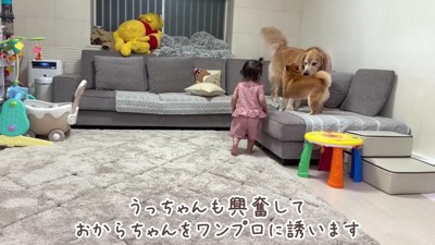 さっそくワンプロ開始!
