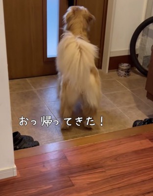 ドアの真ん前で待ち構えます