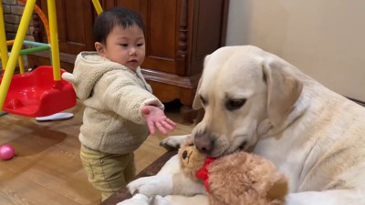「返して!」「いいよー」