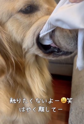 「離さない」という強い意志