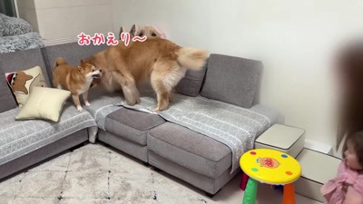 うにくんにごあいさつ