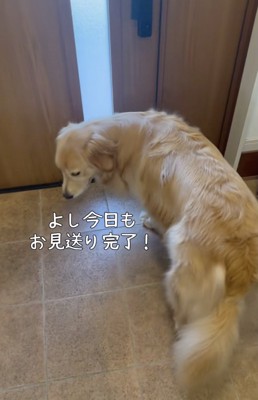 朝の一仕事が終わりました