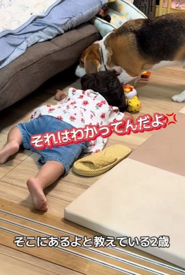 吠える犬