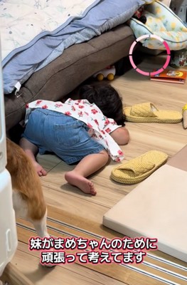 ソファの下を覗きながら考える