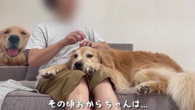 パパとお留守番のおからちゃん